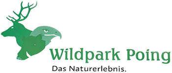 Kiosk Wildpark